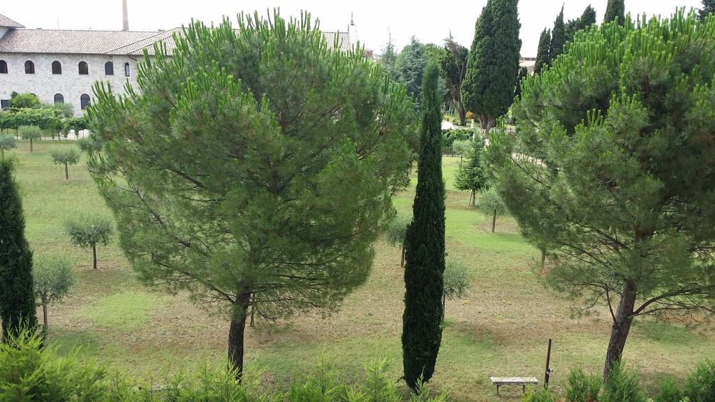 Appartamenti Francesco In Assisi Rom bilde